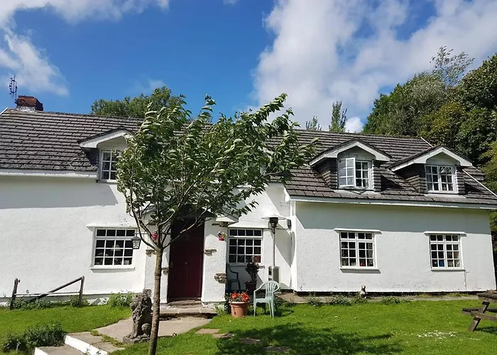 Coynant Farm Guesthouse - Farm Park Stay