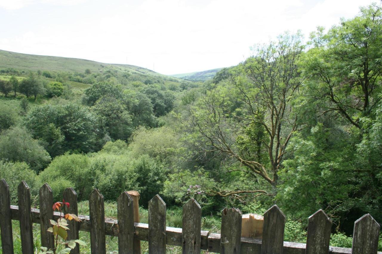 Coynant Farm - Farm Park