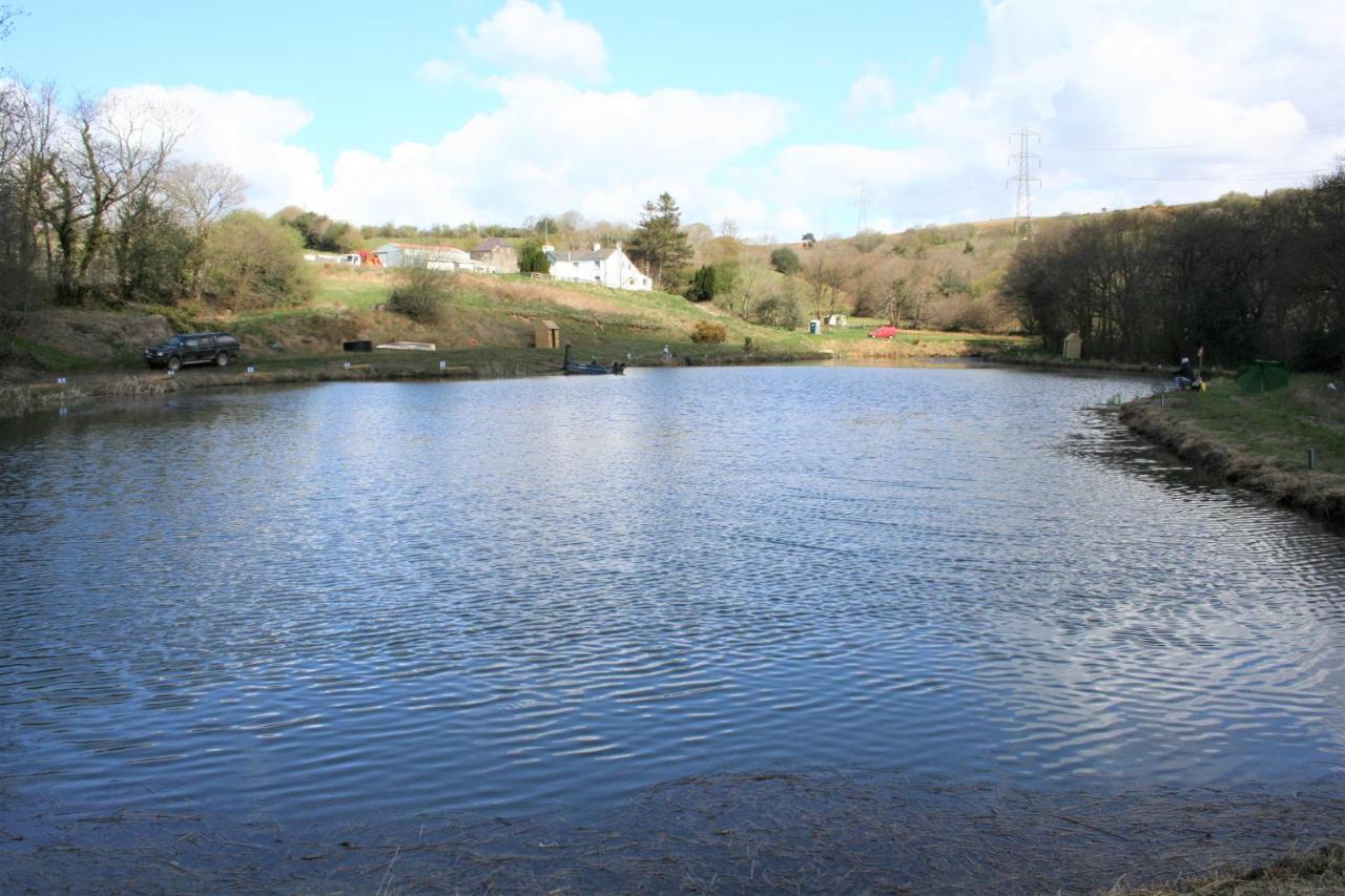 Coynant Farm - Farm Park * Swansea