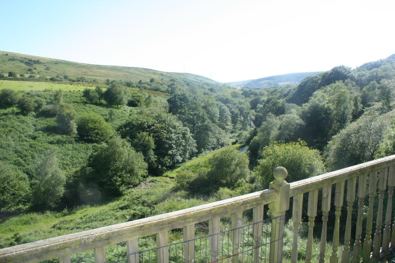 Coynant Farm - Farm Park Swansea