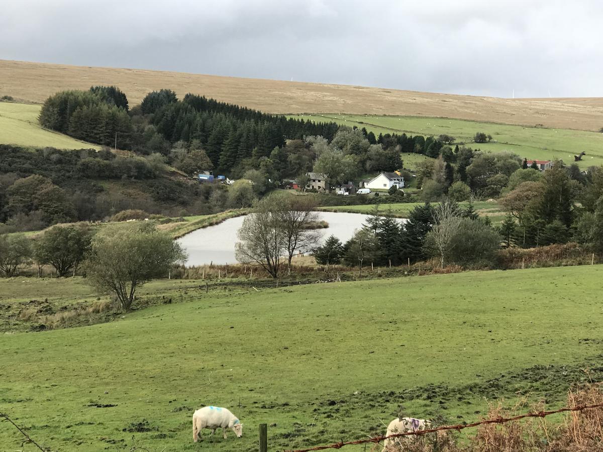 Coynant Farm - Farm Park Swansea