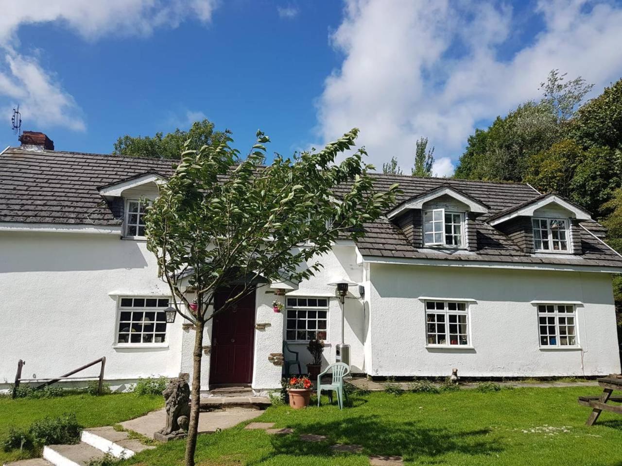 Coynant Farm - Farm Park Swansea